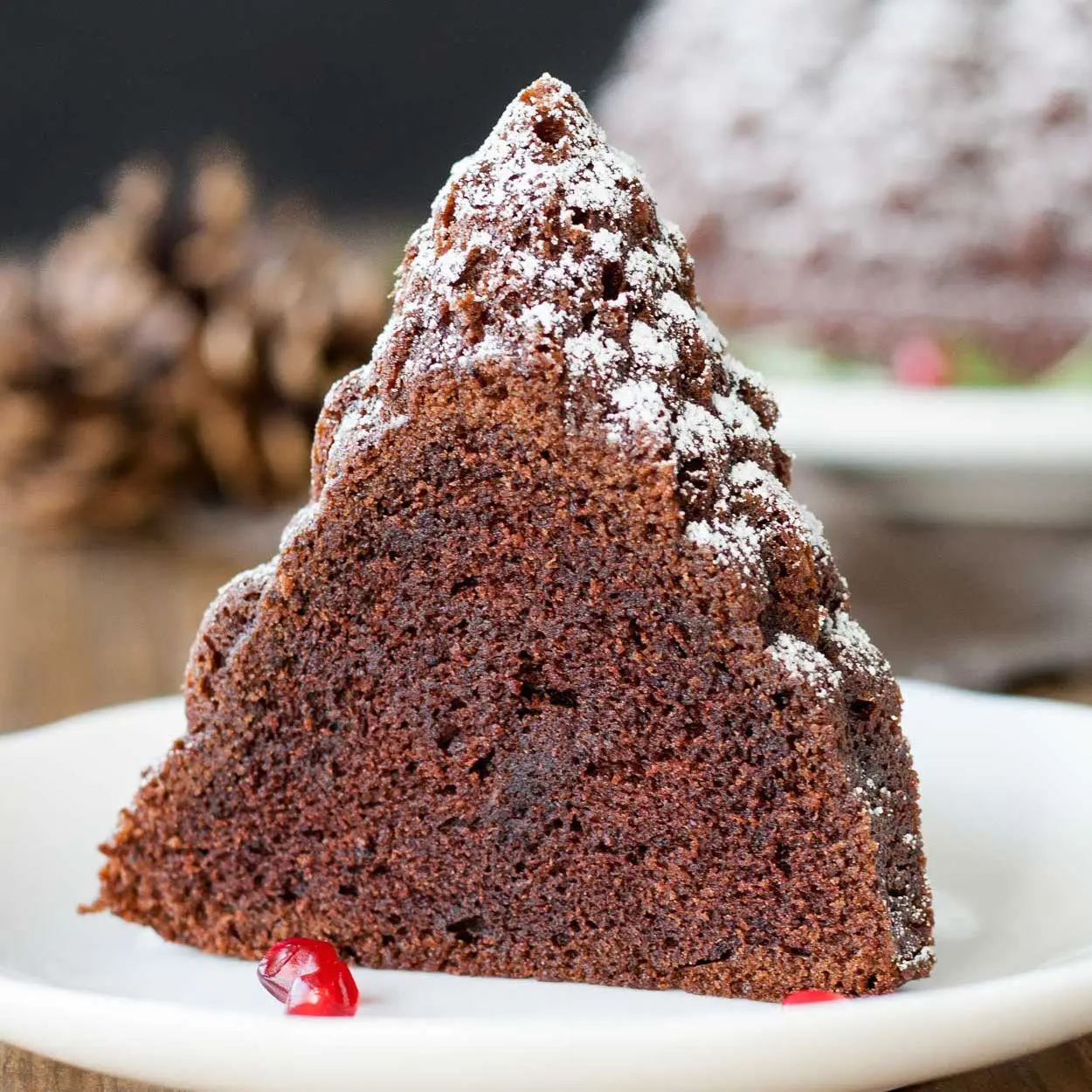 Baileys Hot Chocolate Bundt Cake