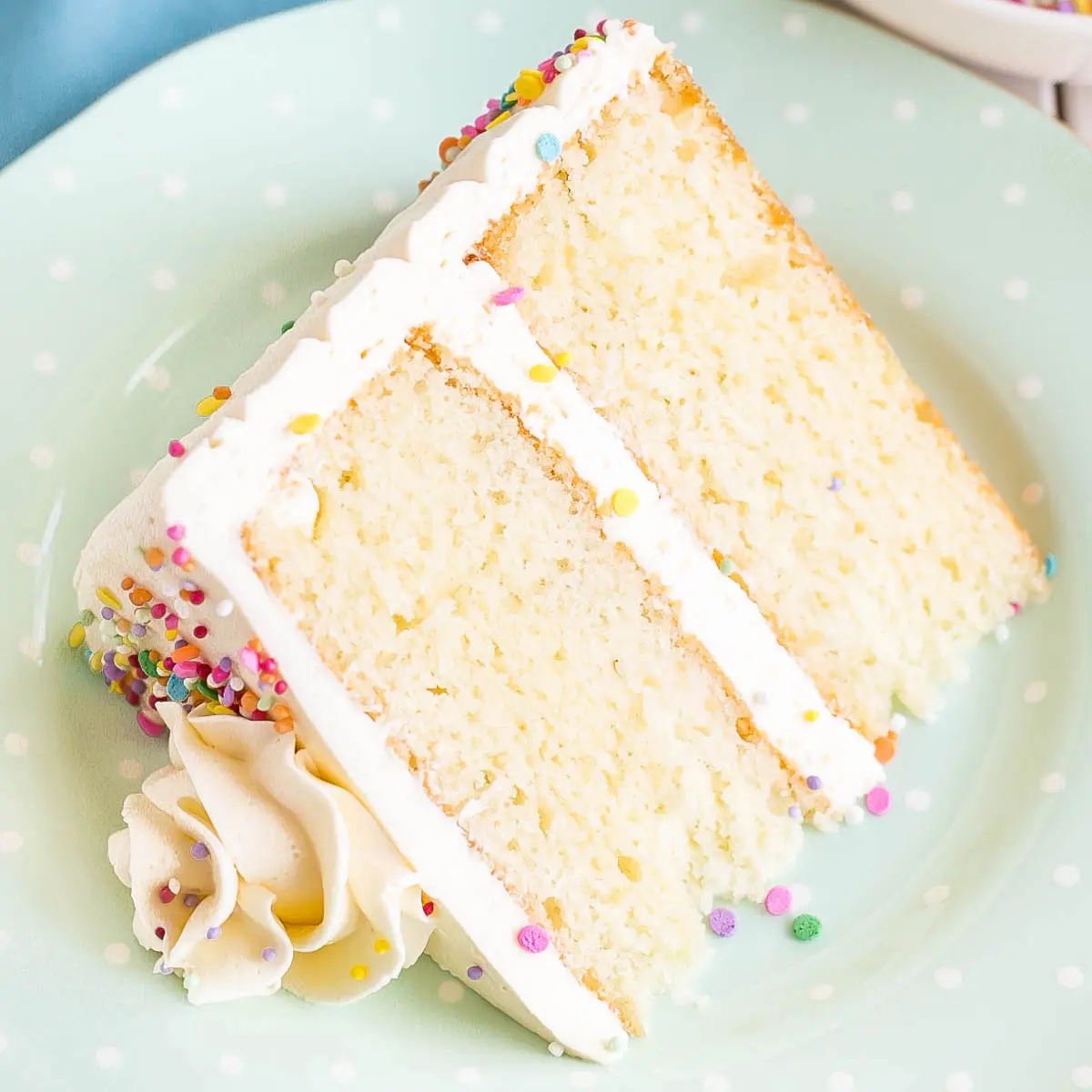 The Best Vanilla Cake Recipe (Reader Favorite!)